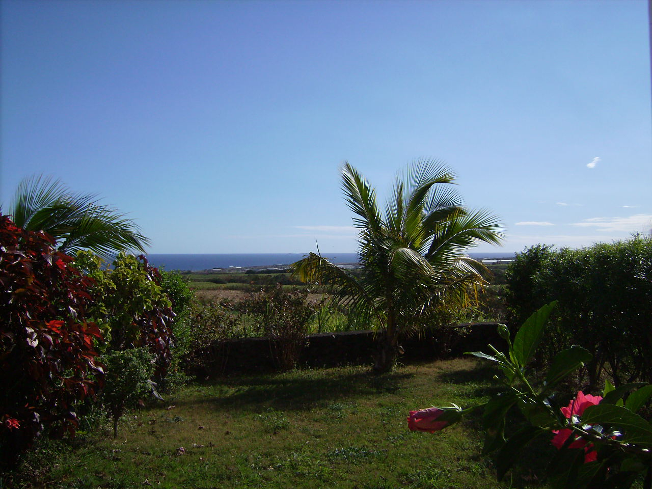 Location Appartement SAINT PIERRE