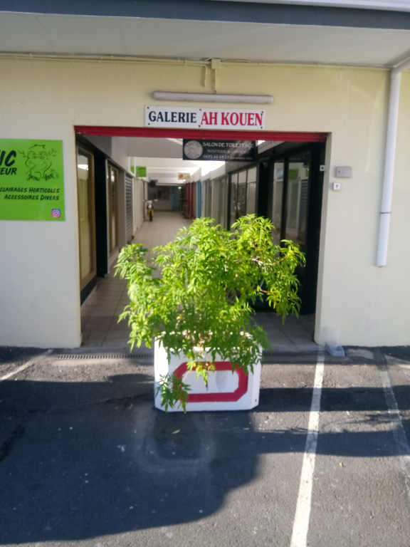 Location Local Commercial SAINT GILLES LES BAINS