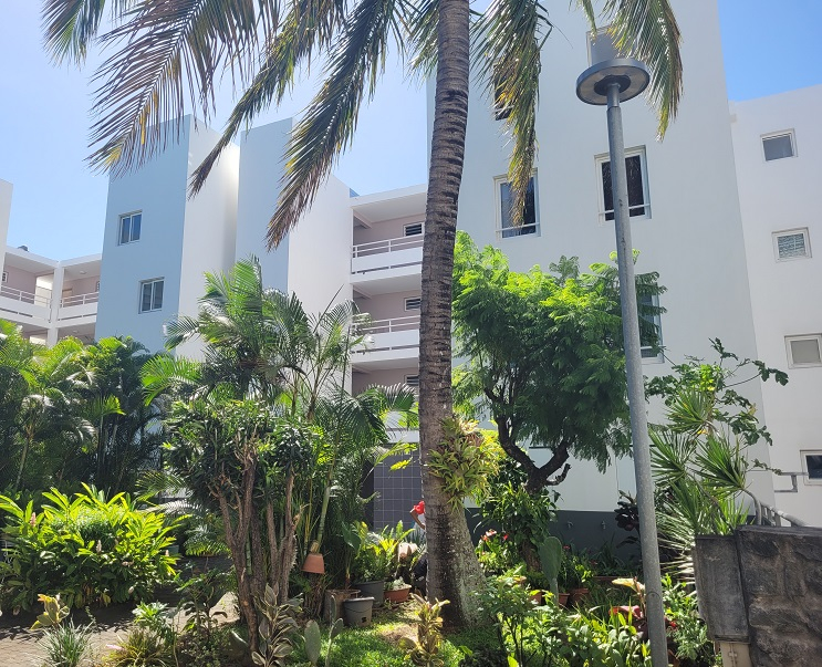 Appartement - SAINTE CLOTILDE
