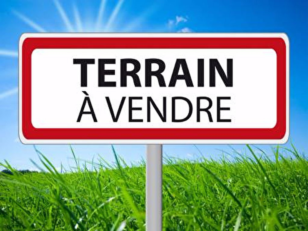 Vente Terrain LA PLAINE DES PALMISTES